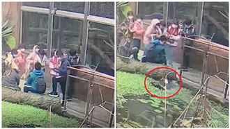 畫面曝光！動物園男童滑手機落水　先救3C