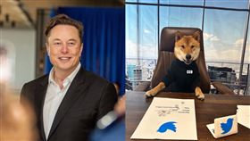 馬斯克宣布，新任CEO的真實身分。（圖／翻攝自Elon Musk Twitter、IG）