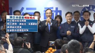 傳藍初選不訂提名時間　議員曝：協調不順