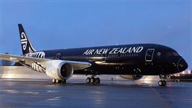 紐西蘭航空▲（圖／翻攝自Air New Zealand推特）
