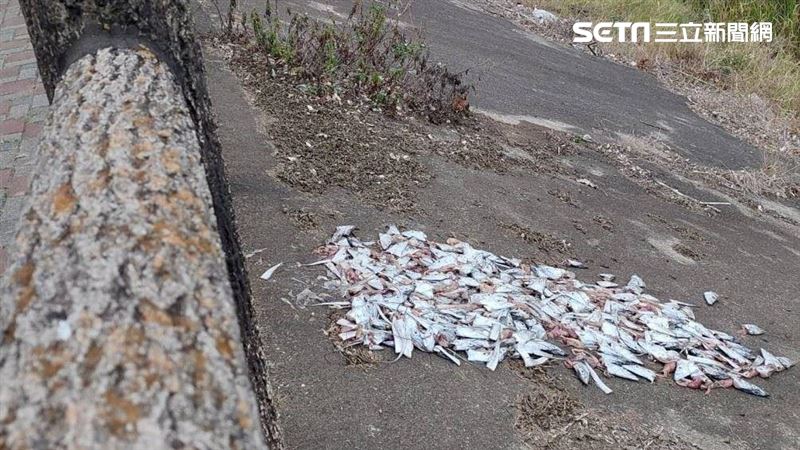 200白帶魚頭遭丟河堤 臭氣沖天警逮人