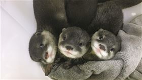 圖／動物園提供