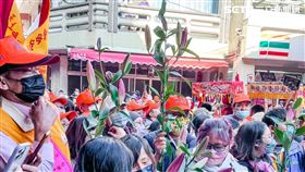 白沙屯媽祖 回鑾 百合花 記者鄭尹翔攝影