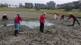 台南蓮潭公園滯洪池乾涸  工務局派員清魚屍台南市善化區蓮潭公園滯洪池因水情不佳逐漸乾涸，死亡魚群飄散異味，工務局20日派員前往清出大量魚屍，概估數量約400條。（台南市工務局提供）中央社記者楊思瑞台南傳真  112年2月20日
