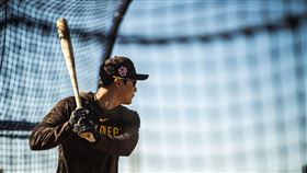 ▲金河成春訓練打。（圖／取自聖地牙哥教士FB）