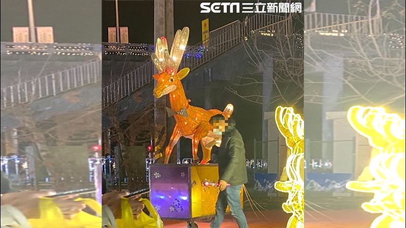 南投「第1猛鹿」失蹤懸賞　盼還回還賞錢