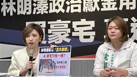 黃彩玲與沈夙崢今召開「林明溱政治獻金用法大公開：買豪宅、真逃稅」記者會（圖／民進黨提供）