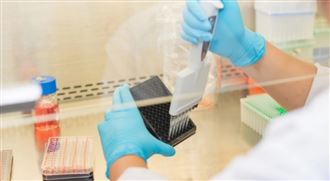 助攻免疫治療！細胞擴增確保幹細胞活性