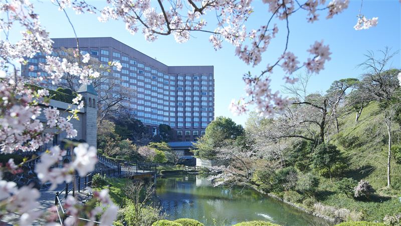 「6賞櫻旅宿」必住！打開門就粉紅櫻花海