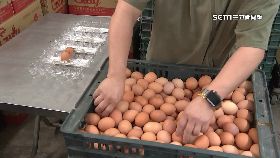 a商總憂電.蛋2400