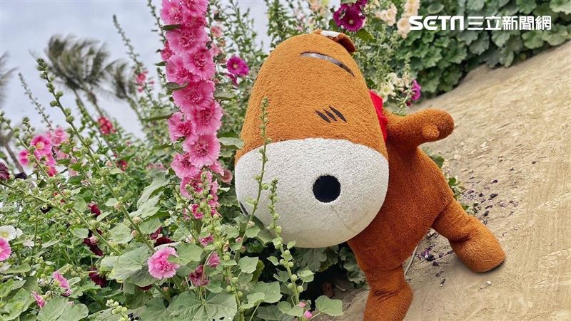 賞我一丈紅！228春遊頑皮　雙聯票下殺5折