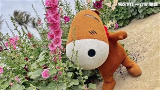 賞我一丈紅！228春遊頑皮　雙聯票下殺5折