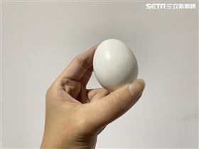 近期全台爆發嚴重「蛋荒」，讓雞蛋價格連連上漲。（示意圖／記者吳康瑋攝）