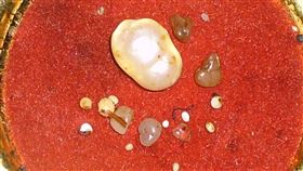 舍利子(圖/楊登嵙提供)