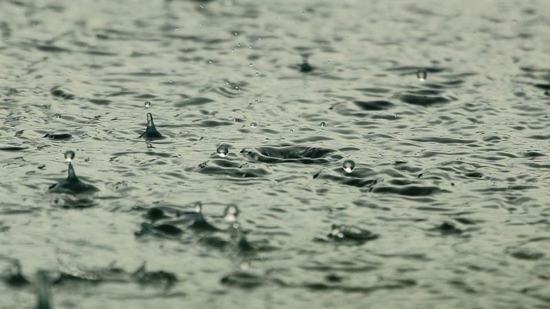「天降活魚」好開心？專家吐1細節不正常
