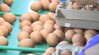 網曝「不缺蛋」掀議　蛋農：禽流感損失大