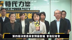 王婉諭接任時代力量新任黨主席（圖／翻攝自時代力量臉書）