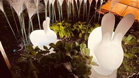 藏身在花圃中的兔子燈飾散發溫暖的光，點亮河岸風情（圖／新北市觀光局提供）