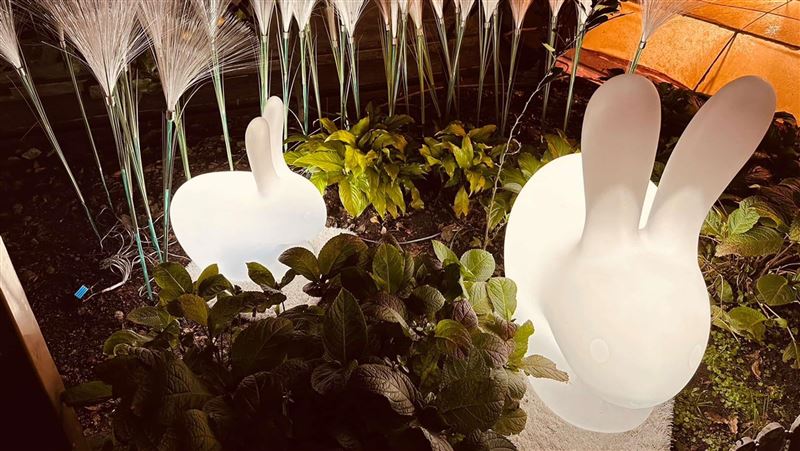 228連假好去處！猴硐夜晚浪漫「點燈秀」
