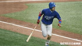 WBC,中華隊,南韓,李容圭,韓國隊 圖／記者林敬旻攝