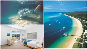 澳洲海豚度假村,tangalooma island resort提供