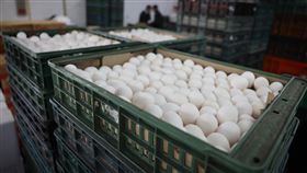 雞蛋可望3月初產量回穩（2）雞蛋供應吃緊價格漲，行政院表示會確保民眾買得到雞蛋、價格合理，並確認2月底、3月初產量可回穩；農委會也補充，目前國產雞蛋仍比美國、日本便宜。圖為16日台北市雞蛋批發商供應情形。中央社記者王飛華攝  112年2月16日