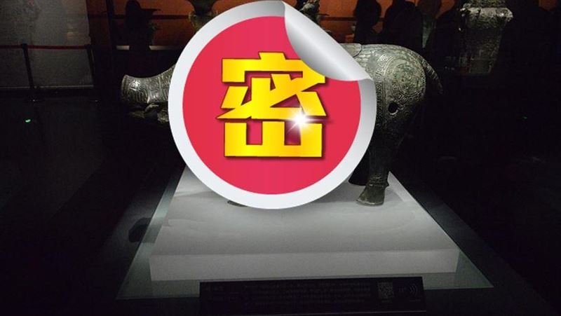 蓋新房挖出一隻「豬」！專家驚：全球唯一