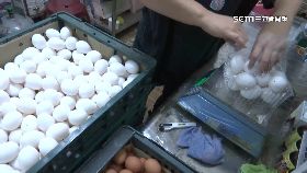 十億升雞.舍1801