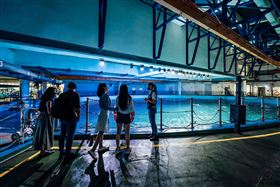 228連假凍起來！避寒之旅首選屏東海生館（業配勿用）