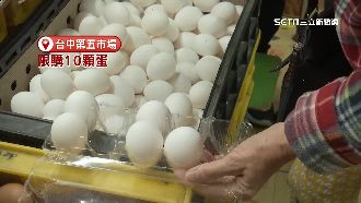 預約就有蛋！農場採會員制「穩定供蛋」