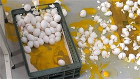 缺蛋,雞蛋,打翻,蛋商,老闆,陳吉仲(翻攝自 爆怨公社)