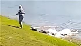 她湖邊遛狗竟遭「3公尺巨鱷拖下水」咬死！ 恐怖瞬間曝光