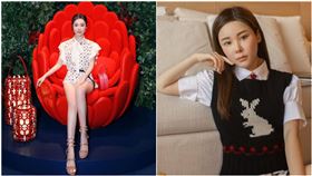 蔡天鳳遭分屍地點「是他租的」！1關鍵遭警方點破：早有預謀（圖／翻攝自蔡天鳳IG）