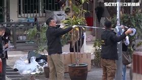 香港 蔡天鳳分屍案(圖/AP/TVB 授權)