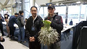 超稀有「珍妮鹿角蕨」　他6百萬現金買了