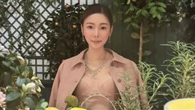 蔡天鳳的前夫曾涉及交友App詐財案，當時無業的他保釋被拒需還押。（圖／翻攝自蔡天鳳 IG）