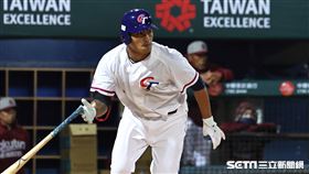 ▲世界棒球經典賽，台灣隊首場熱身賽對戰樂天桃猿，外野手林子偉。（圖／記者劉彥池攝影）