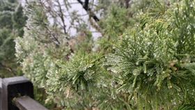 太平山國家森林遊樂區提供