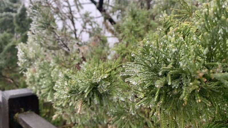 太平山-0.7度！觀景平台結冰　霧凇再現
