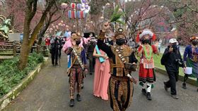 九族文化村,九族櫻花祭,九族文化村提供