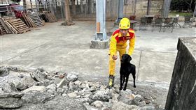  新竹市,消防局,認證,搜救犬Clay（圖／新竹市政府提供）