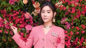 蔡天鳳。（圖／翻攝自蔡天鳳IG）