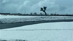 莫哈維沙漠罕見下雪。（圖／翻攝DOVE推特）