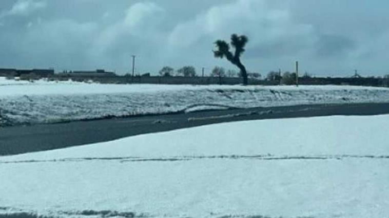 加州暴風雪警告「沙漠飄雪」破132年紀錄