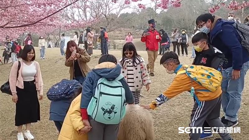 連假Day 3回穩　氣象局預告下一波變天