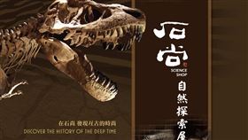 石尚自然探索屋連鎖店倒閉（圖／翻攝自石尚自然探索屋 - 自然史博物館）
