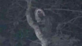 墨西哥總統歐布拉多推特發文，說有人拍到馬雅精靈。（圖／翻攝推特）