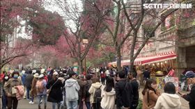  不想塞!清晨7點衝九族　已望不到車龍盡頭（圖／翻攝畫面）