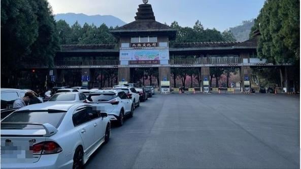 九族賞櫻遊客又爆滿！「1景象」全網驚呆