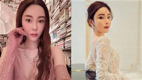 蔡天鳳,高大成,分屍,紅蘿蔔